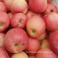 New Crop Fresh Sweet Red Gala Apple